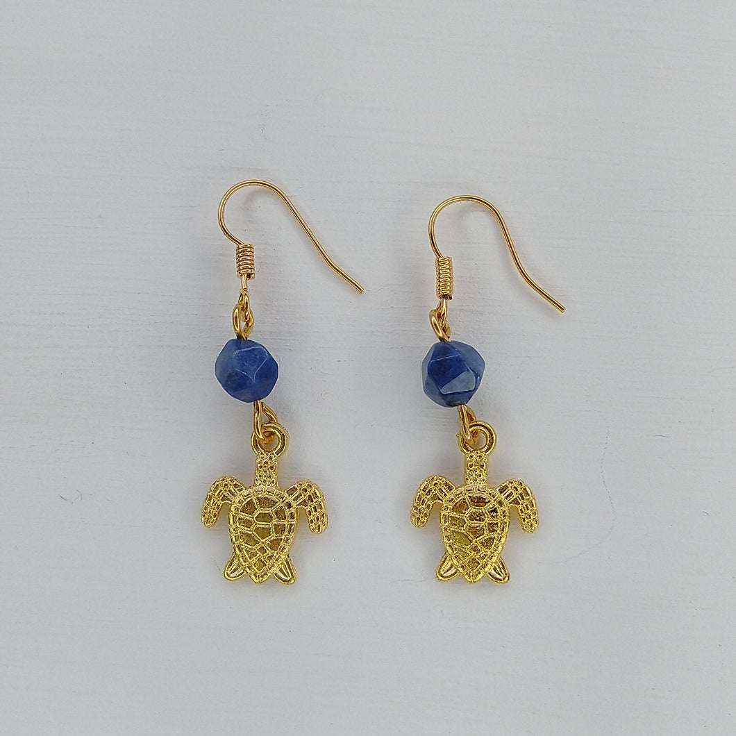 ARETES TORTUGA