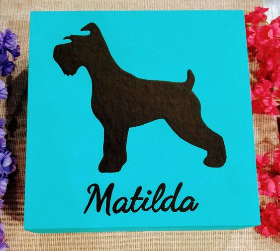 CUADRO PERRITO PERSONALIZADO